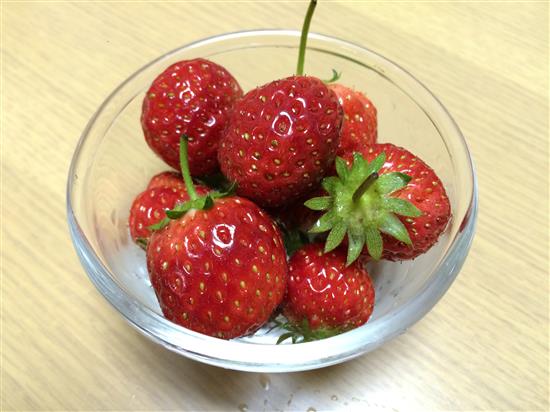 strawberry_074a.jpg
