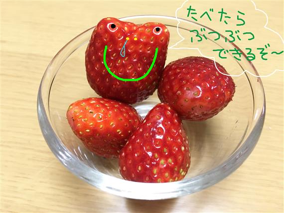 strawberry_1636a.jpg